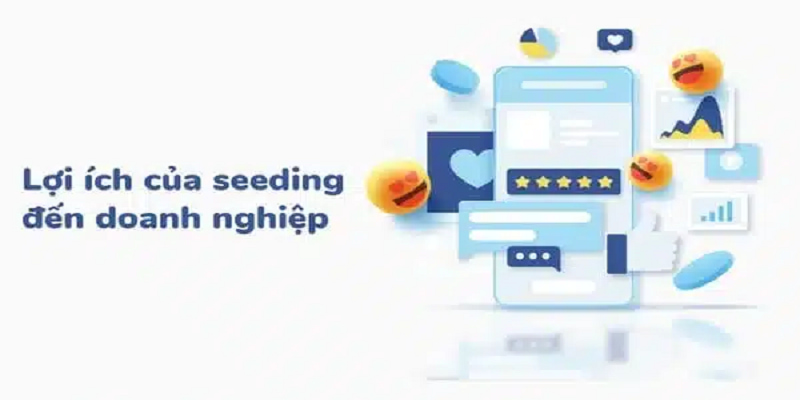 Khám phá những lợi ích nổi bật của Seeding