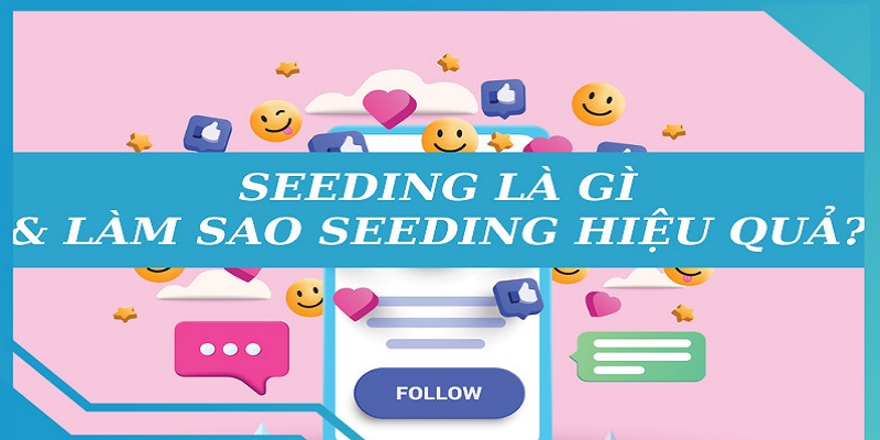 Lưu ý khi thực hiện Seeding là gì&nbsp;
