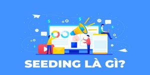 Tổng quan chung Seeding là gì?