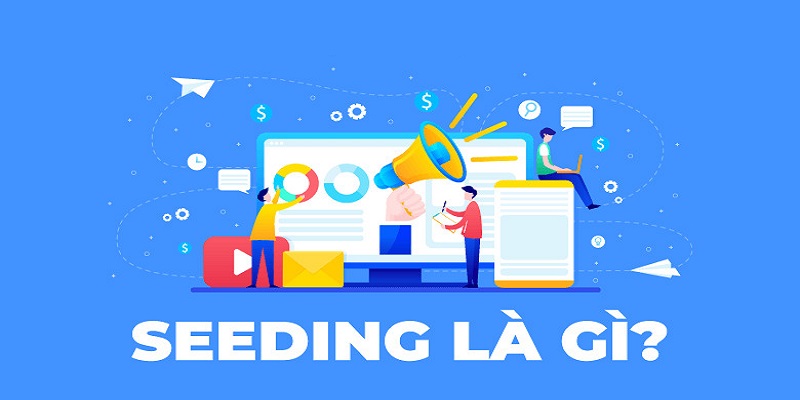 Tổng quan chung Seeding là gì?