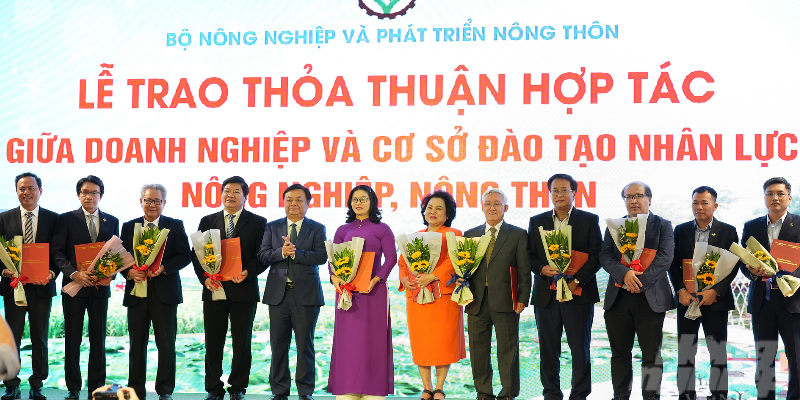 Nhiều chương trình hợp tác giúp cho sinh viên thêm trải nghiệm